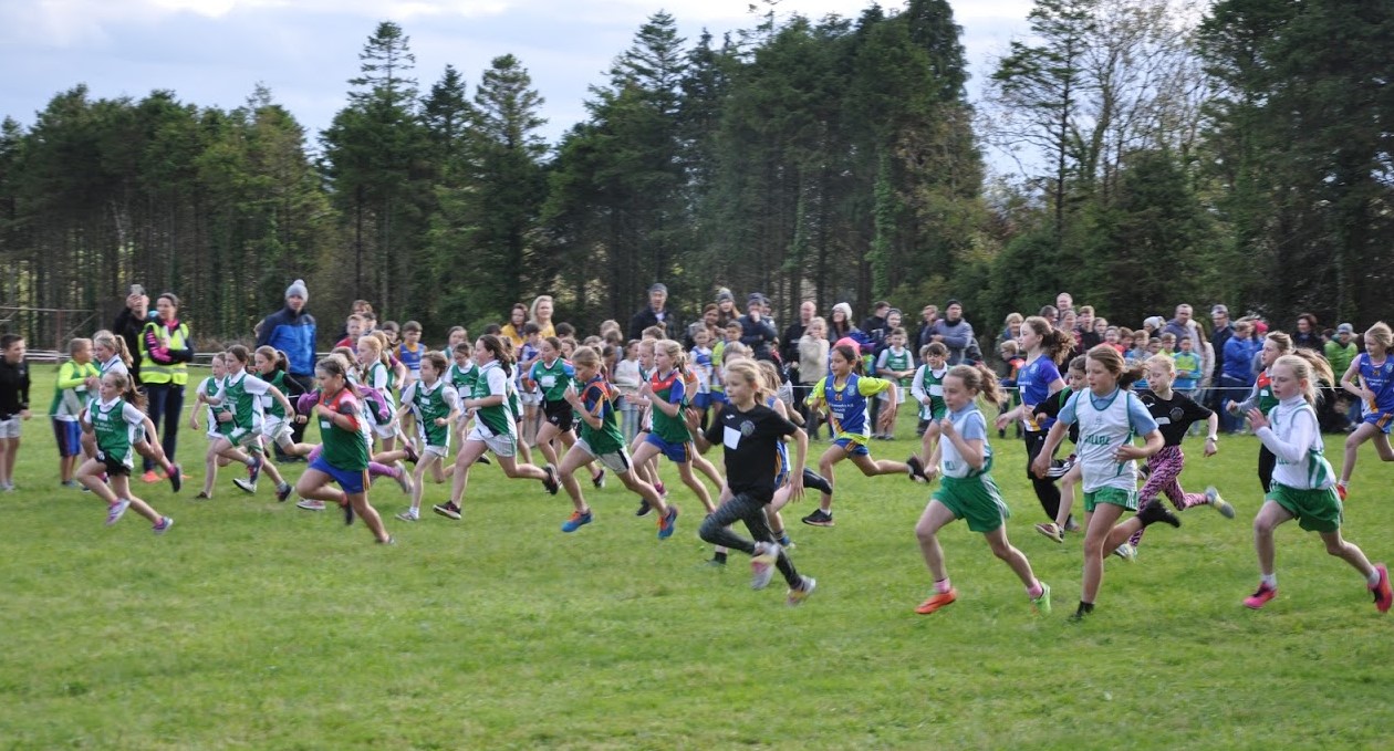 2023 Co. Longford Schools Cross Country Results